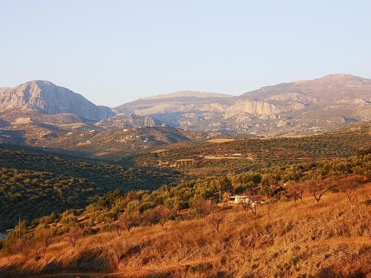 Finca Pil - Casa Rural Con Piscina Ríogordo Exteriör bild